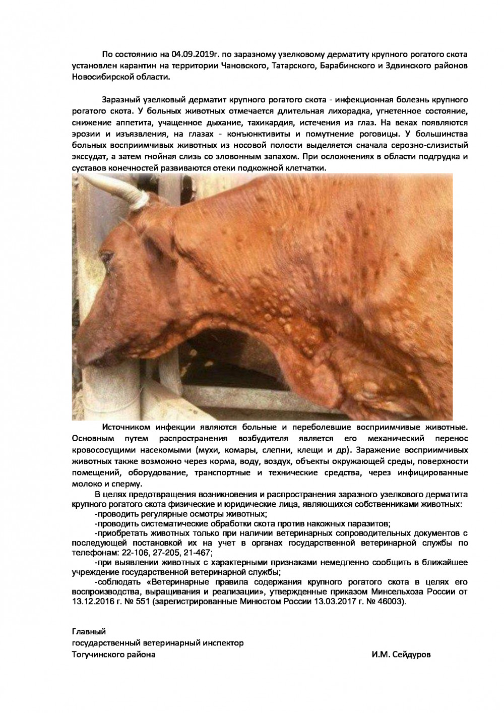 zud-2019_0.jpg